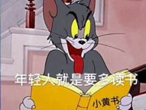 小哥哥小姐姐唱答案,趣味互动解锁智慧之门