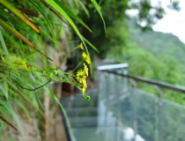 宁波景点小姐姐,宁波景点小姐姐带你领略江南水乡魅力